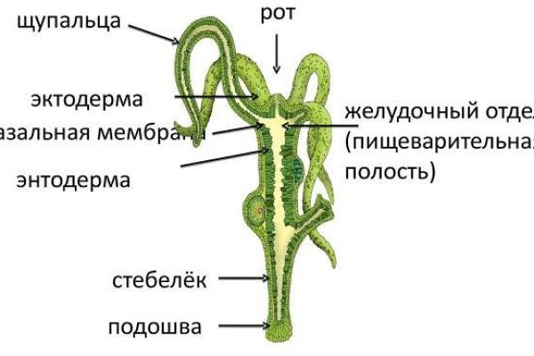 Ссылка на кракен на сегодня