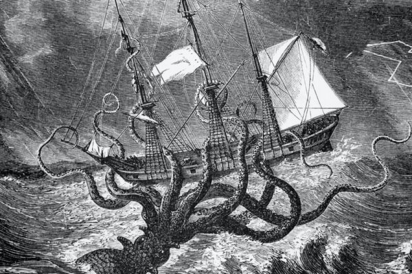 Kraken dark