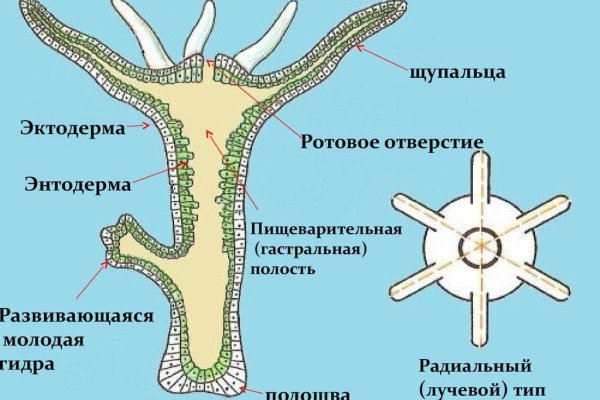 Сайт krn